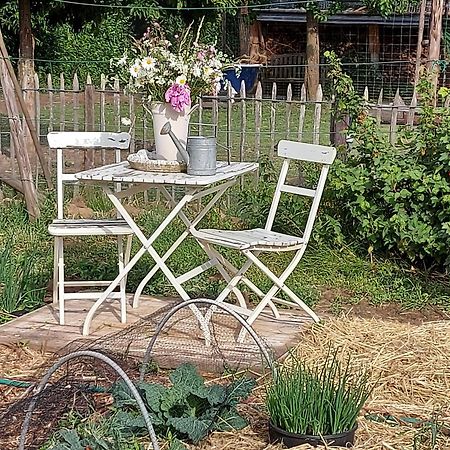 Bed and Breakfast Widdingenhof Wellen Exterior foto