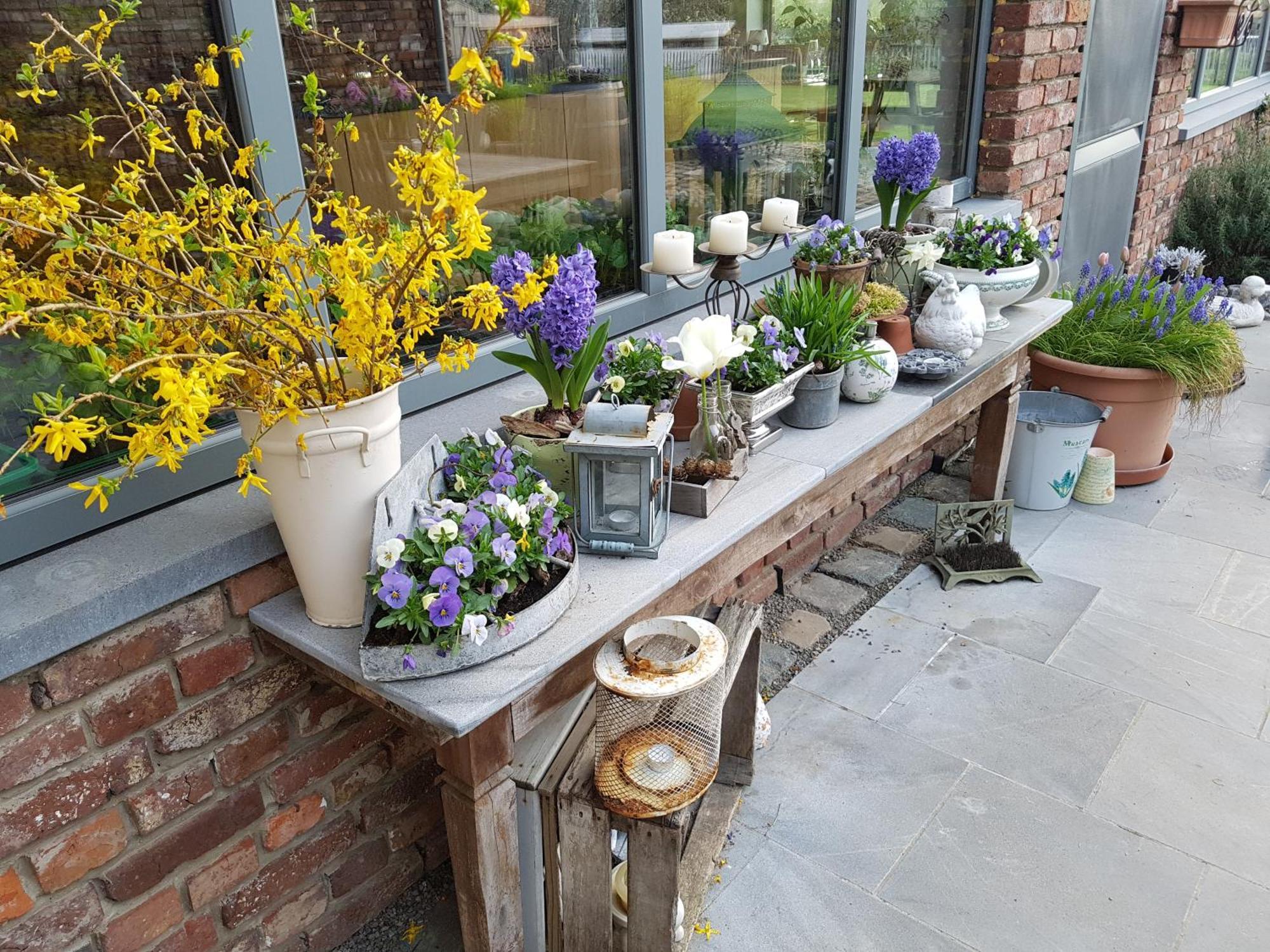 Bed and Breakfast Widdingenhof Wellen Exterior foto